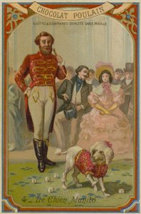 Munito, akıllı performans gösteren köpek by European School